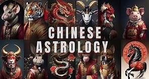 The 12 chinese zodiac signs 🌒🪧