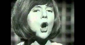 Cilla Black : You're My World : live TV performance May 1964