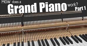 How does a Grand Piano work? - Part 1