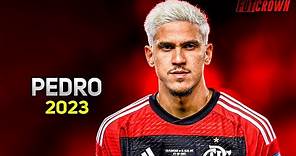 Pedro 2023 ● Flamengo ► Amazing Skills & Goals | HD