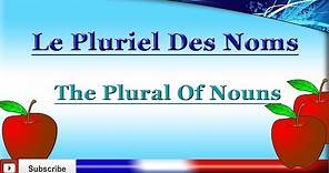 Learn French - Plural Of Nouns - How To Make A Noun Plural In French - Le pluriel des noms