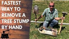 How To Remove A Tree Stump By Hand (In 20 Minutes Or Less)