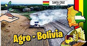 Agroindustria - Bolivia 🇧🇴 | Santa Cruz el pilar de Bolivia ?