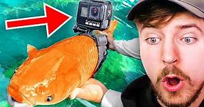 I Strapped A GoPro To A Fish!