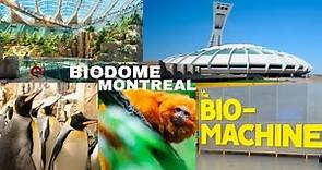 Biodome | Montreal | Canada Travel Vlog