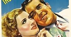 Invitación a la felicidad (1939) Online - Película Completa en Español - FULLTV
