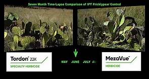 MezaVue™ Herbicide — The New Standard in Pricklypear Control