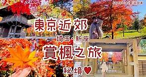 日本人才知道的賞楓秘境！漫天楓紅寺院🍁遇見富士山🗻免費日式庭園紅葉小徑散步🍂國家指定天然記念物樹林🌳好吃天婦羅蕎麥麵🍤遍地松果🐿｜日本旅遊｜Stebbie慢活日本🇯🇵