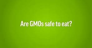 Are GMOs Safe To Eat?