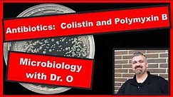 Colistin and Polymyxin B: Microbiology