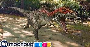 5 HORAS ¡Los dinosaurios T-Rex y Dino Master han vuelto! | Parque de Atracciones Jurásico