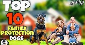 Top 10 family guard dogs in the world | best protection dogs for families with kids