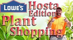 Lowes Plant Shopping!!! To Clearance And Beyond!!! Hosta Talk And More!!!