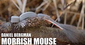 Morrish mouse by Daniel Bergman
