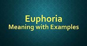 Euphoria Meaning with Example