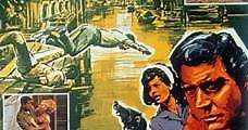 El infierno de Mekong (1964) Online - Película Completa en Español - FULLTV