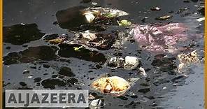 🇮🇳 Death and disease in India's Yamuna River | Al Jazeera English