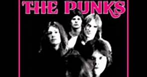 The Punks - Q1 (1973 Proto Hardcore Punk)