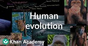 Human evolution overview | Life on earth and in the universe | Cosmology & Astronomy | Khan Academy
