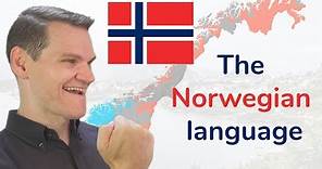 Norwegian! A North Germanic Language of Norway