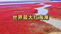世界最大红海滩，辽宁盘锦红海滩全程旅行记录（下）