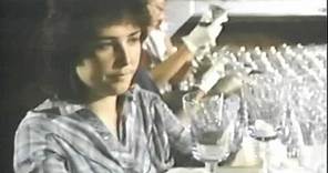 Story of Waterford Crystal