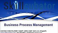 Business Process Model (Management)