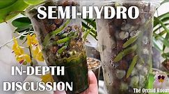 Let's Talk: Semi Hydro for Orchids- Intro, Root Adaptation, Overcoming Dry Top Layers, Modifying SH