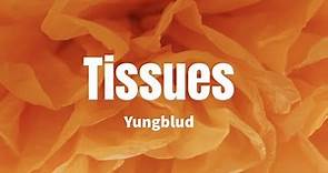 Tissues - Yungblud (Lyrics)