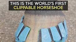 This is the world's first clippable horseshoe