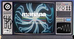 Introducing Mariana | A New Bass Synthesizer from Moog Music