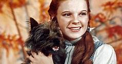Judy Garland, la clip del film con Renée Zellweger