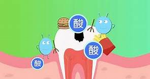 認識牙齒與蛀牙(中文)