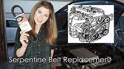 HOW TO REPLACE A SERPENTINE BELT!