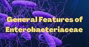General features of Enterobacteriaceae