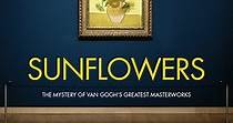 Sunflowers - película: Ver online completas en español