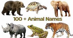 100+ Animal names in English vocabulary words | Cool Animals List with Pictures