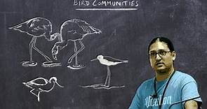 Basic Ornithology: Bird Communities