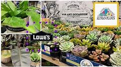 Epic Houseplant Finds!🌿 Lowe's is Fully Stocked!🌵