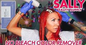 Color Remover from Sally Beauty Supply: NO BLEACH OR DEVELOPER- JUST ADD WATER!