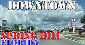 Spring Hill - Florida - 4K Downtown Drive