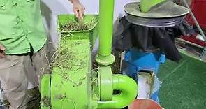 Hammer Mill Directly to Pellet Mill Making Pellets with Alfalfa