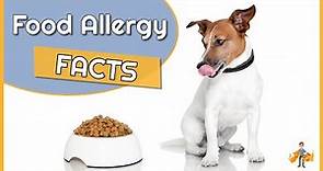 Food Allergy in Dogs: Causes, Diagnosis and Treatment