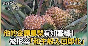 尋找台灣感動力- 台灣之光 蜜糖般的金鑽鳳梨
