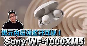 一萬元內最強藍牙耳機！Sony WF-1000XM5開箱實測【Joeman】