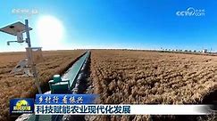【乡村行 看振兴】科技赋能农业现代化发展