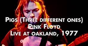 Pink Floyd - Pigs (Three Different Ones) - Live at Oakland