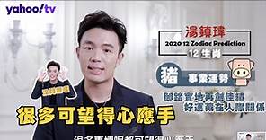 【豬】2020 生肖整體運勢 - 湯鎮瑋生肖運勢