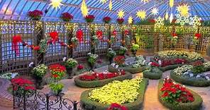 Only in Pittsburgh: Phipps Conservatory and Botanical Gardens