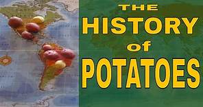 The History of Potatoes: the origin, the world-wide travel, the subsequent fame. #potatohistory